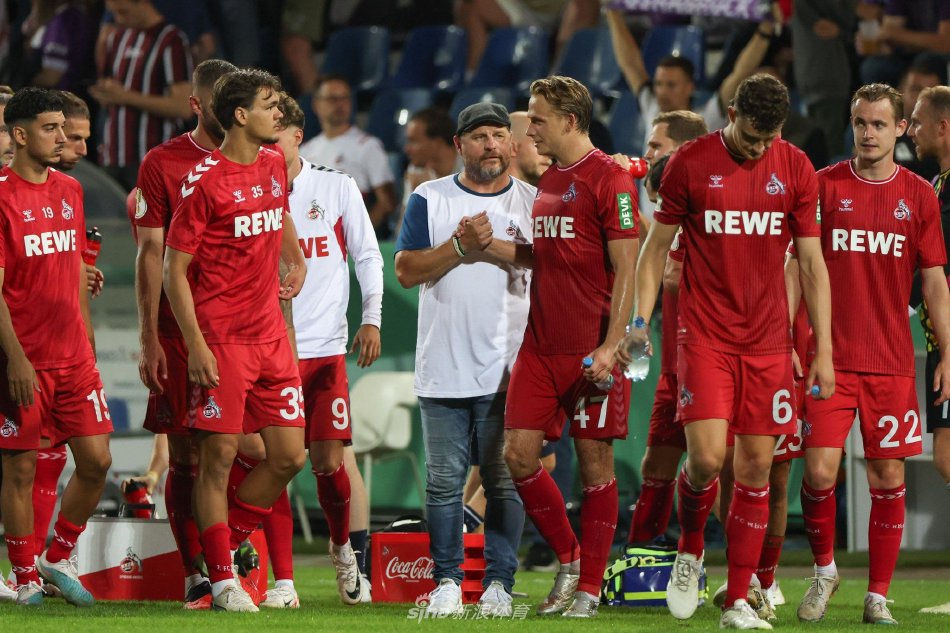 特定案例分 特定案例分