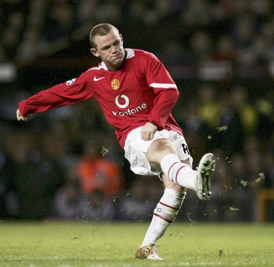 利益冲突苗 利益冲突苗